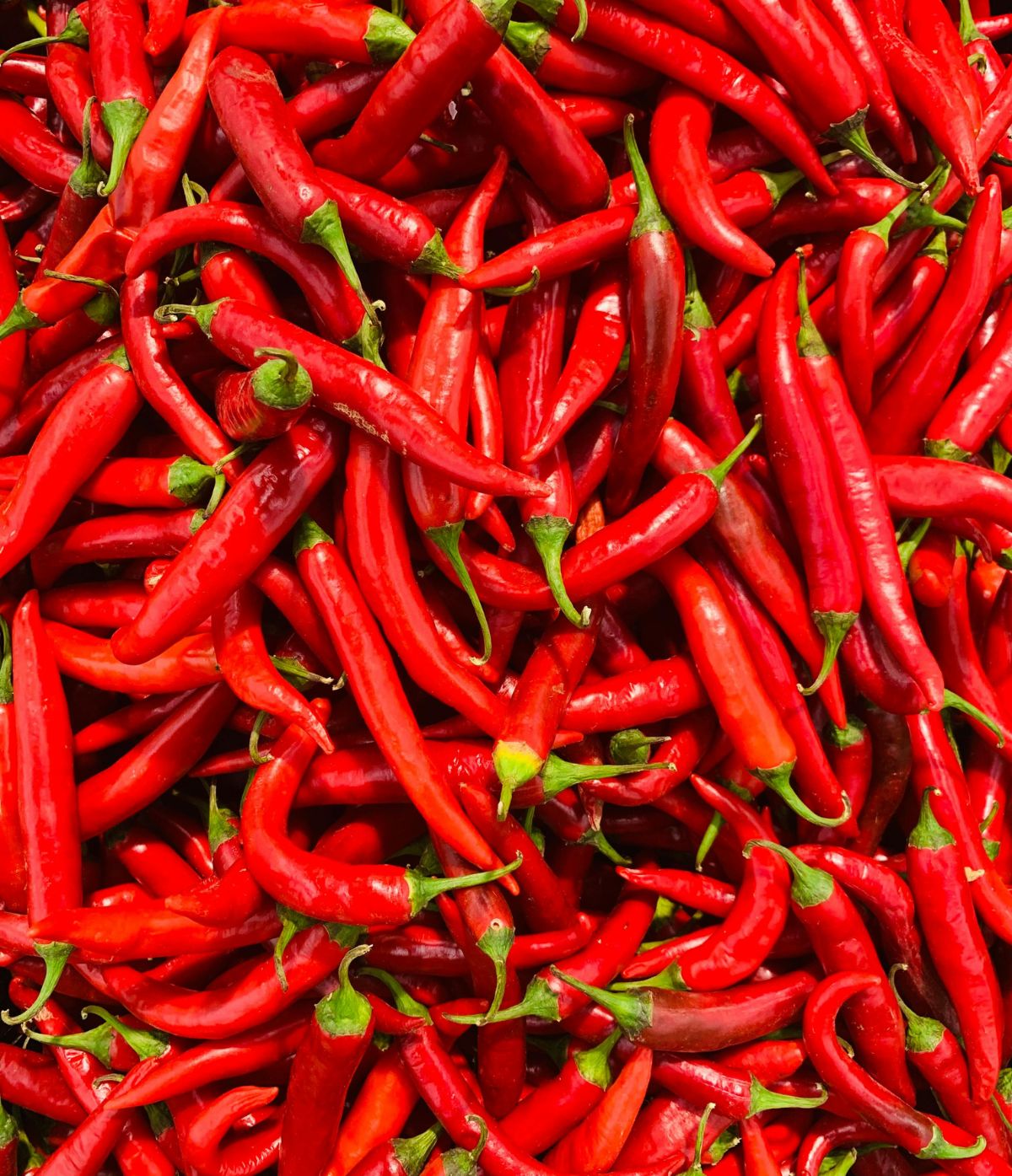 Pickles de Concombre et Piment